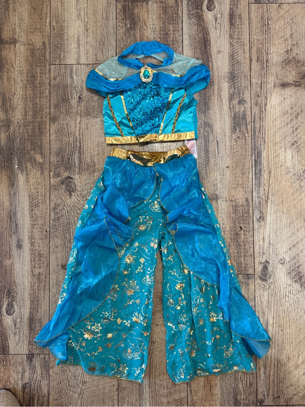 Disney Jasmine Teal and Gold Princess Genie Costume